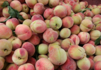 家里种了一千多颗桃树，怎样在网上卖桃子?
